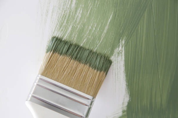 Best Commercial Mold Inspection  in Mayo, MD