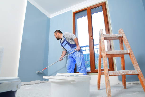 Best Attic Mold Removal  in Mayo, MD