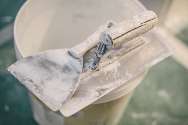 Best Industrial Mold Remediation  in Mayo, MD