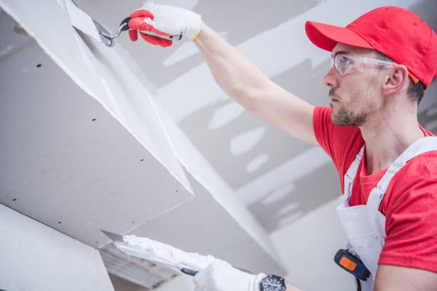 Best Basement Mold Removal  in Mayo, MD